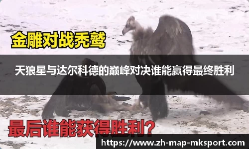 关键词4